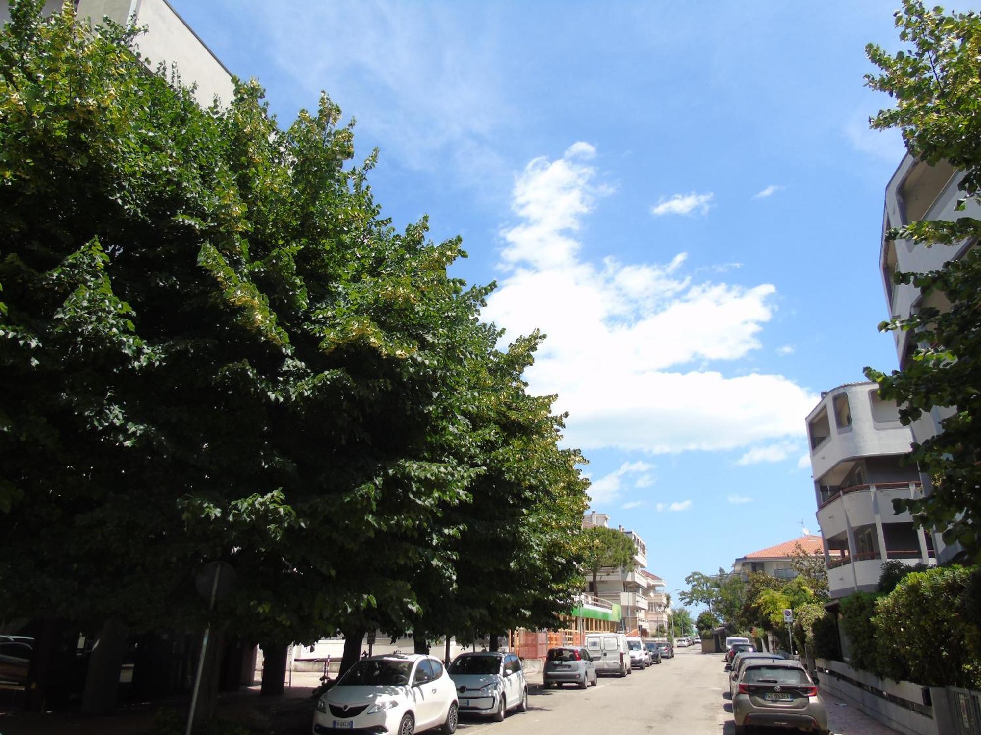 Appartamento Homiday - Attico Ermione Francavilla Al Mare Esterno foto